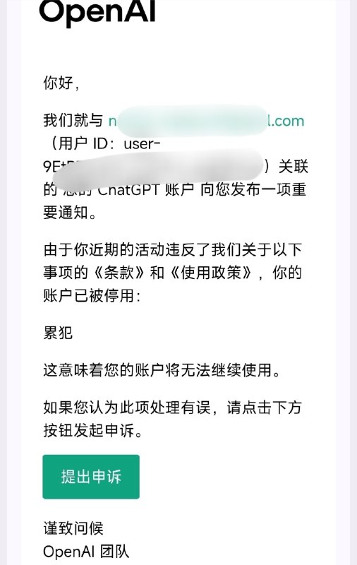 累犯 是什么？不知道英文原文是什么样的，收到的邮件就已经是中文了