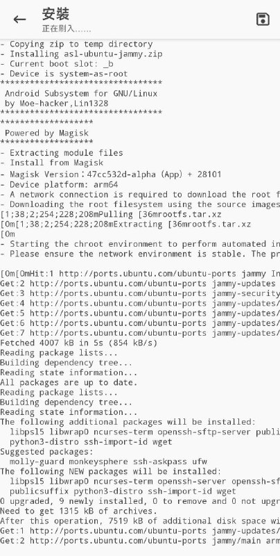 用magisk跑linux用magisk跑linux